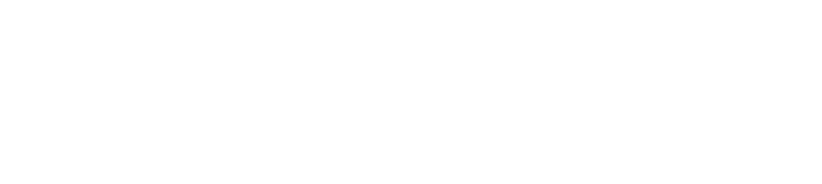 Transportstyrelsen